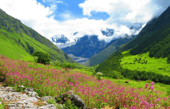 Valley of flowers Trek
